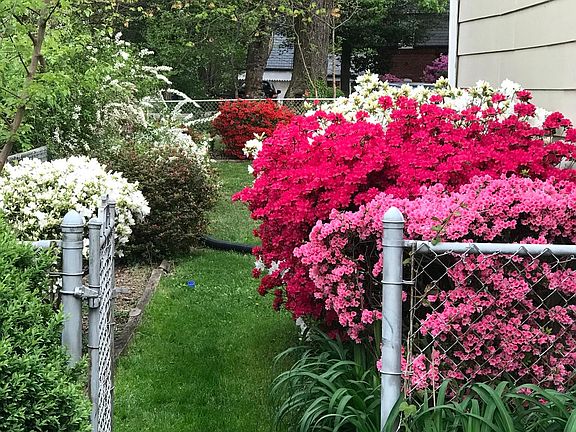 Fenced, landscaped backyard.