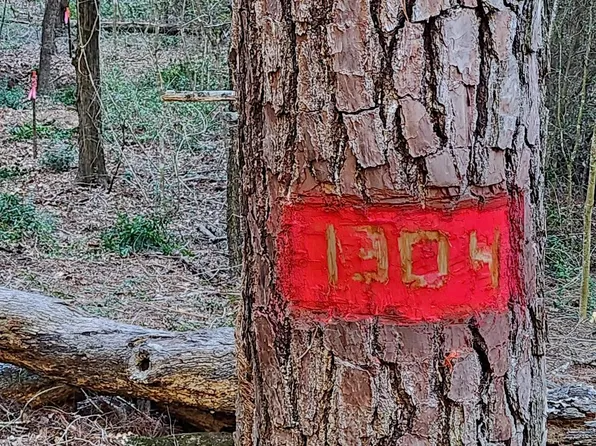 LOT 1304 Hanauma Dr, Bastrop, TX 78602