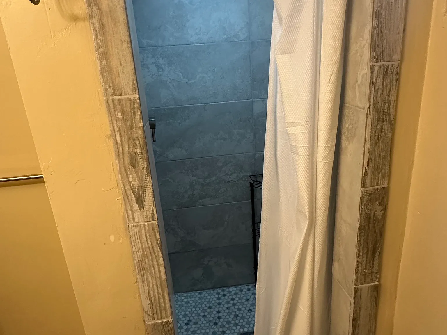2 bed, 1000 sqft, $1,600 — Photo 4