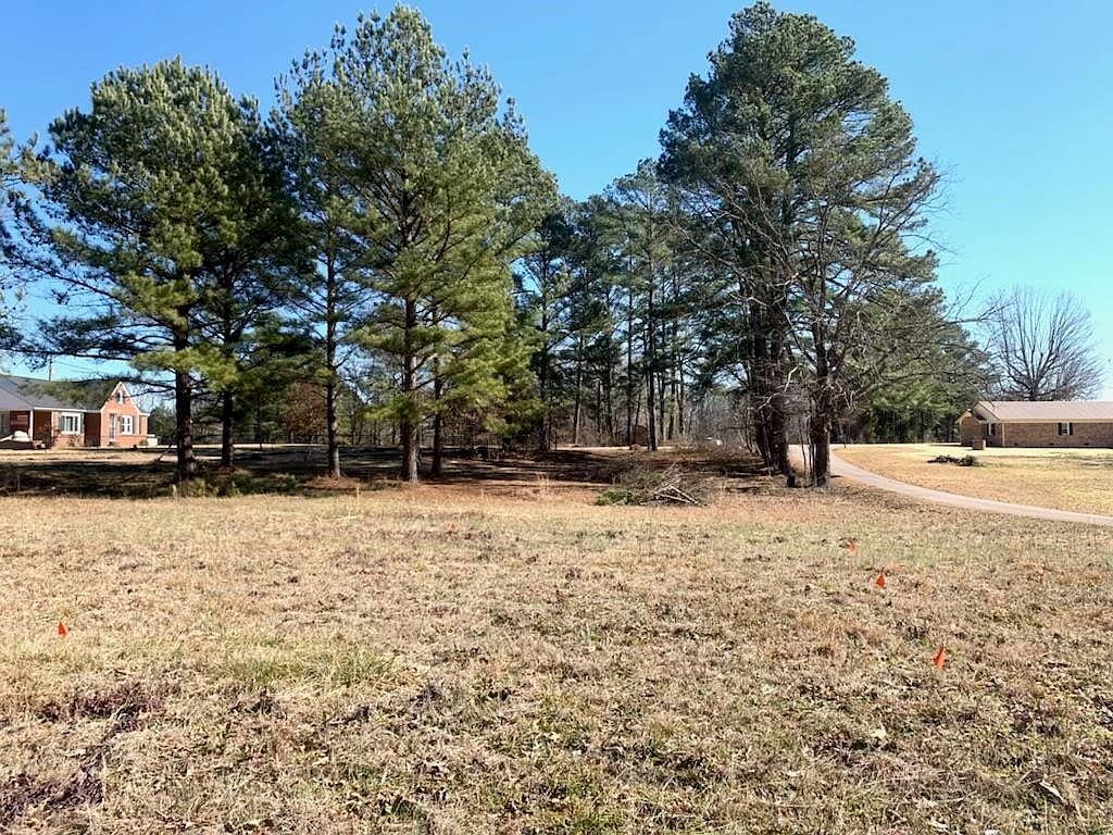 24 Theo Access Rd, Morris Chapel, TN 38361 Zillow