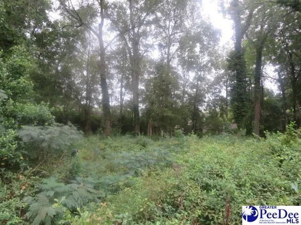 LOT 154 Emmary St, Hartsville, SC 29550