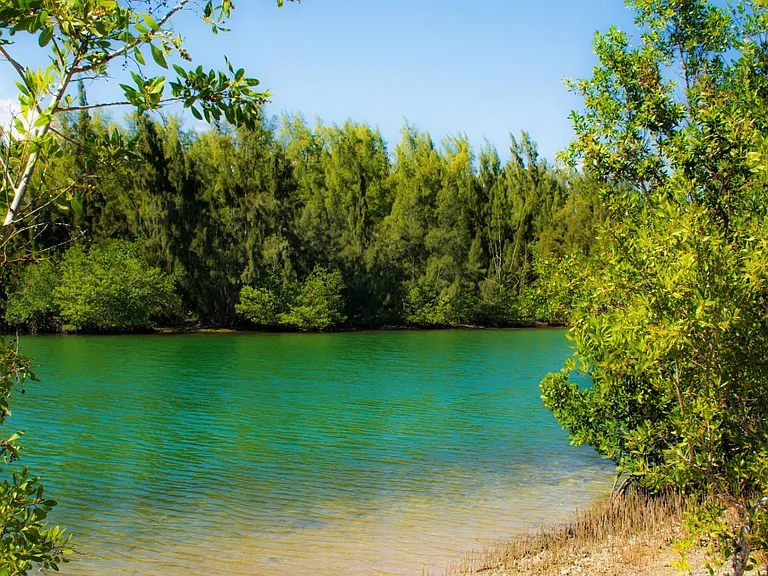 Oleta river state park is excellent for biking, kayaking and paddleboard. Its located just 8 minutes away driving.