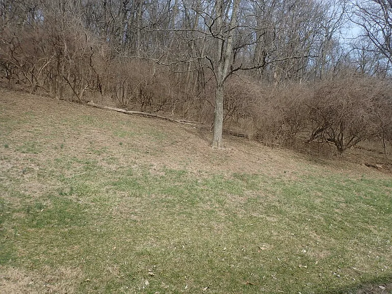 58 Dorman Ave — Photo 8