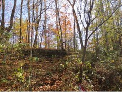 Rockwood Dr, Jonesborough, TN, 37659