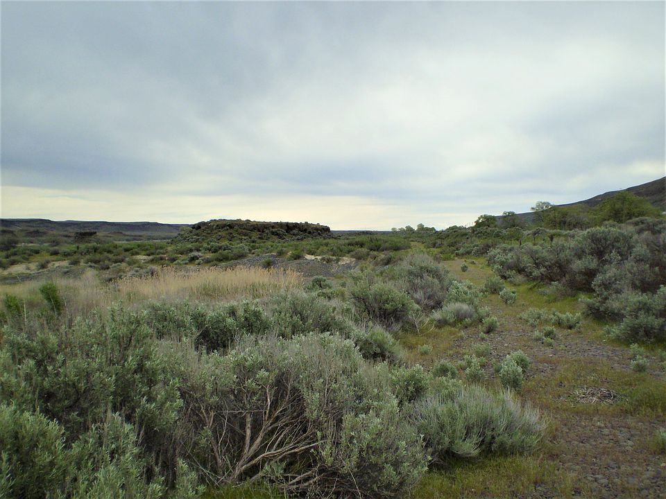 2nd image of Creek Rd Lowr Crab