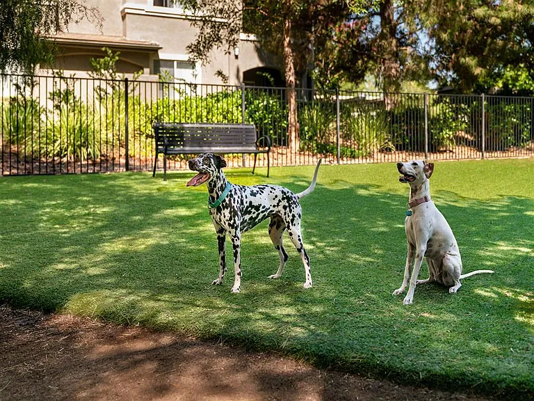Eagle Glen Dog Park