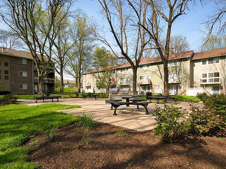 Outdoor Picnic Area & Grilling Stations