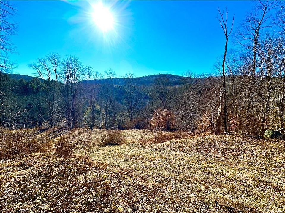 185 N Branch Callicoon Ctr Road, North Branch, NY 12766 Zillow