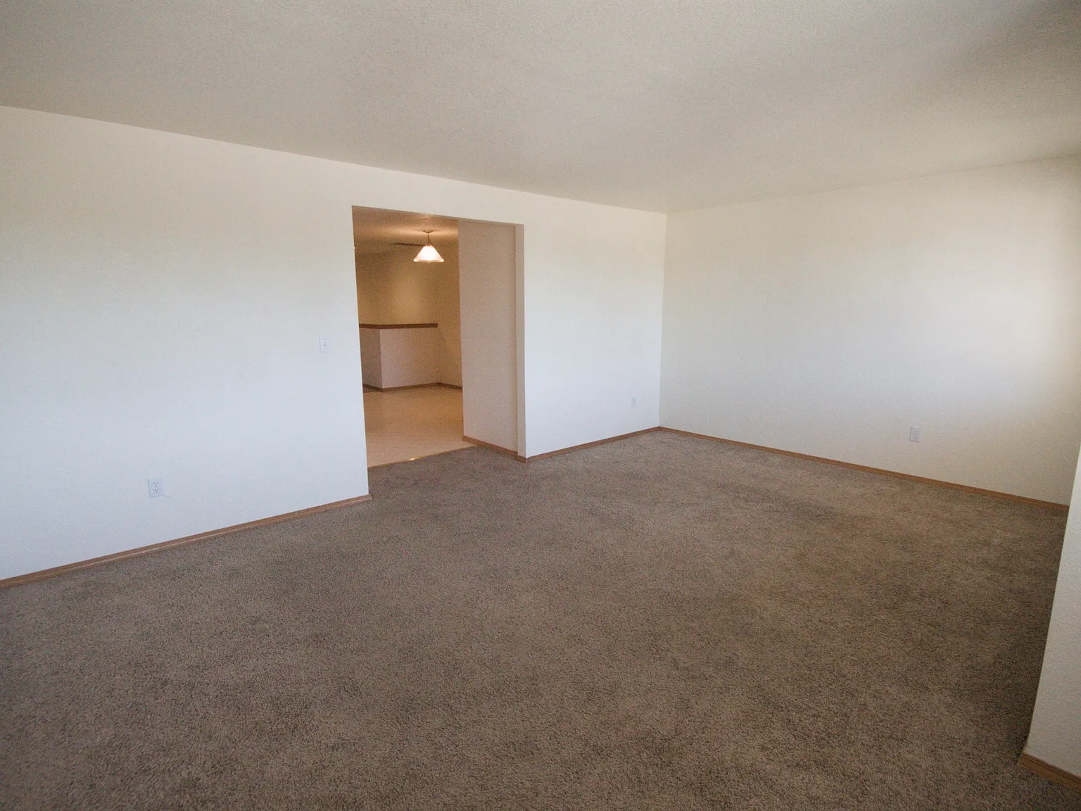 3 bed, 1620 sqft, $2,300 — Photo 4