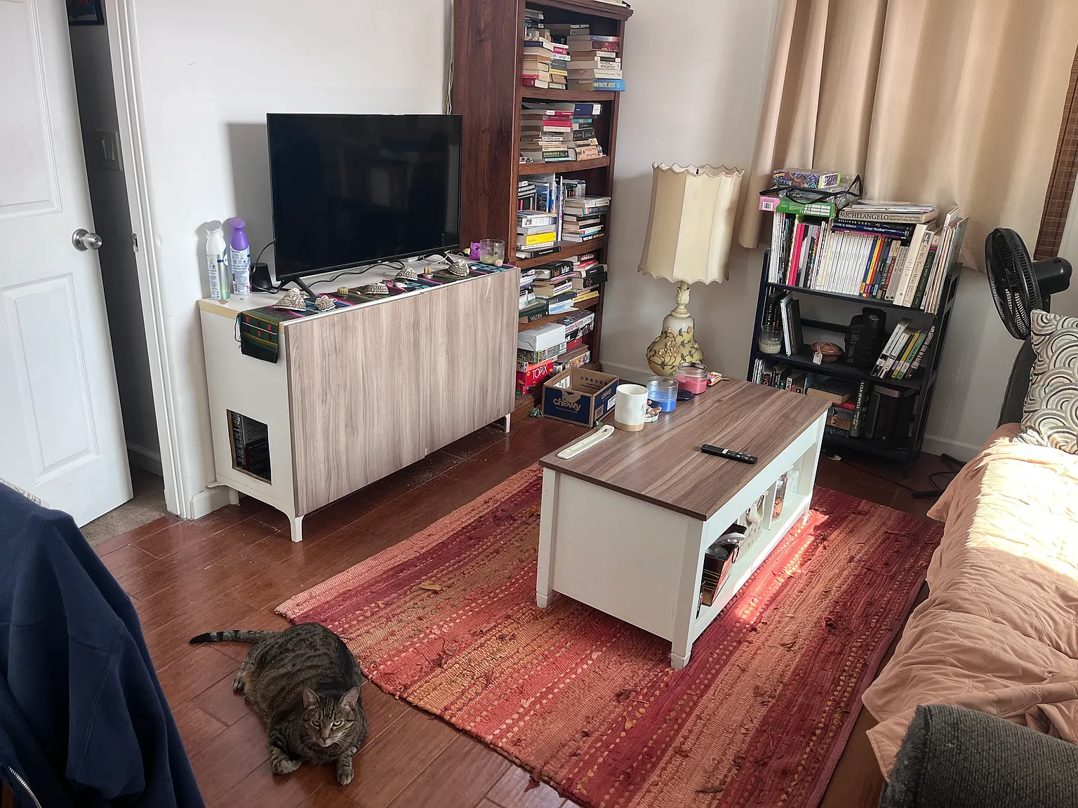 3 bed, $1,125 — Photo 4