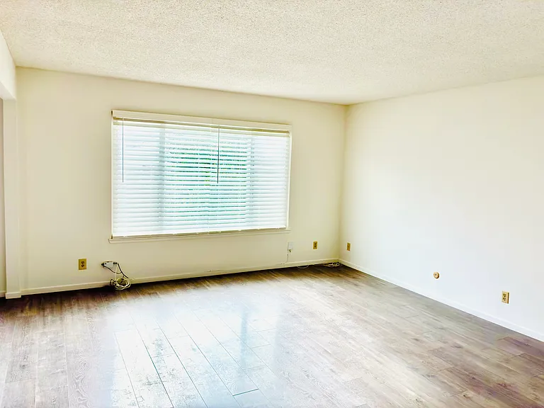 247 20th Ave #1 — Photo 4