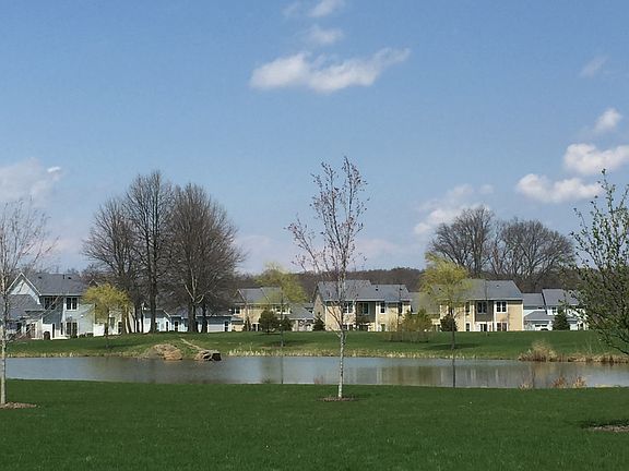 View of pond