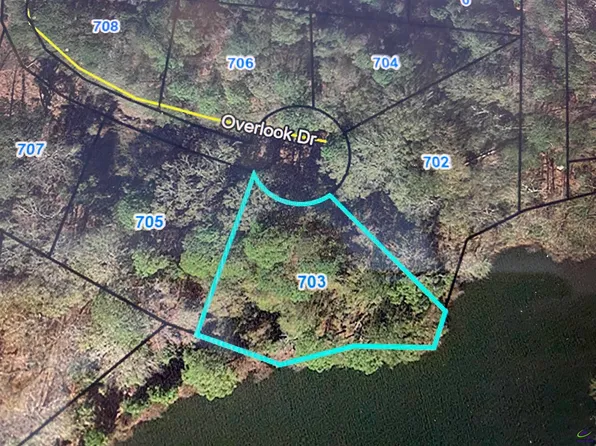 703 Overlook Dr, Montezuma, GA 31063