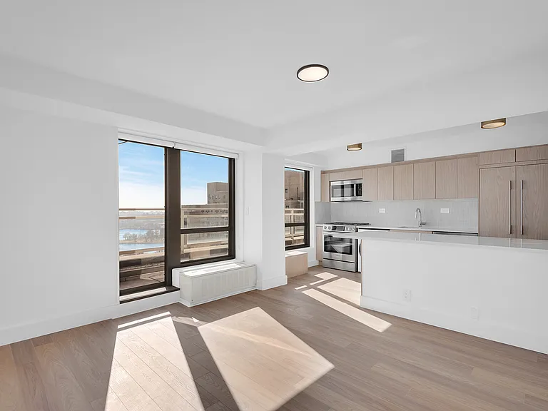 501 E 87th St #PENTHOUSE — Photo 8