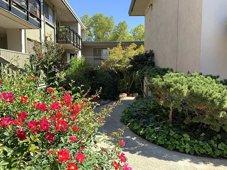 Shelfield Apartments — Photo 16