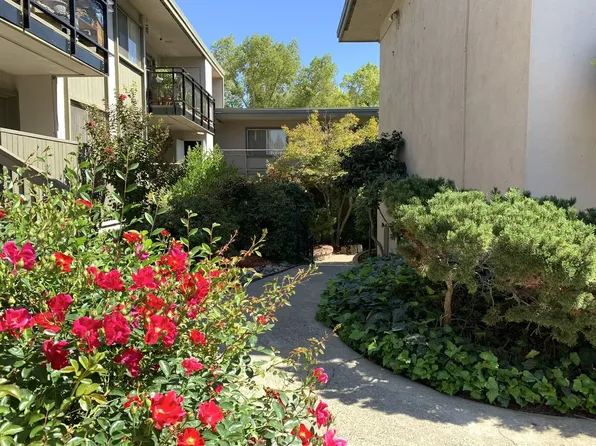 Shelfield Apartments, 5800 Fair Oaks Blvd #5e3974875, Carmichael, CA 95608