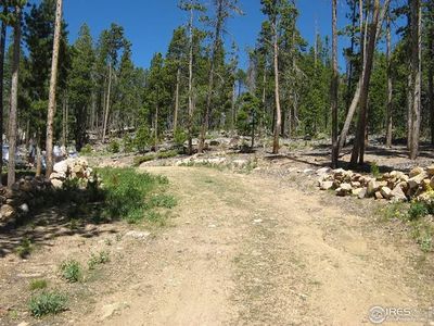 1244 Mosquito Dr, Red Feather Lakes, CO, 80545