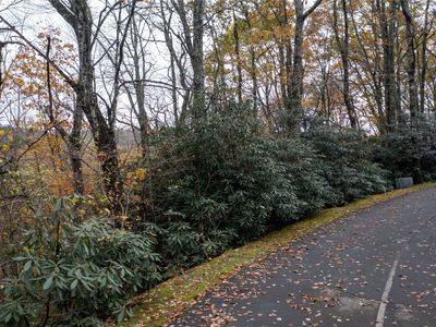 Lot 10 Sassafras Court, Highlands, NC, 28741
