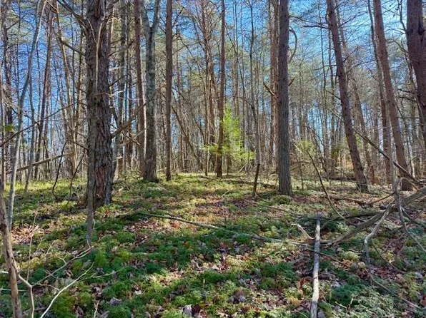 B Armstrong Ln, Monterey, TN 38574