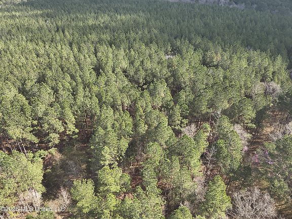 3rd image of 0 Alfred Agee Rd