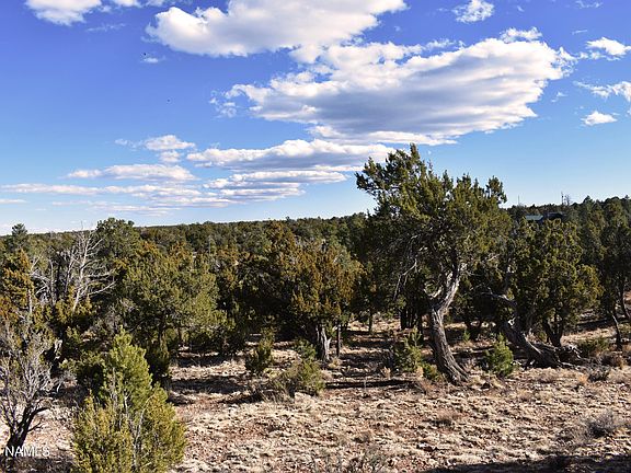 5th image of 4367 Sunset Ridge Loop