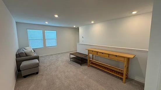 4520 Ranunculus St — Photo 10