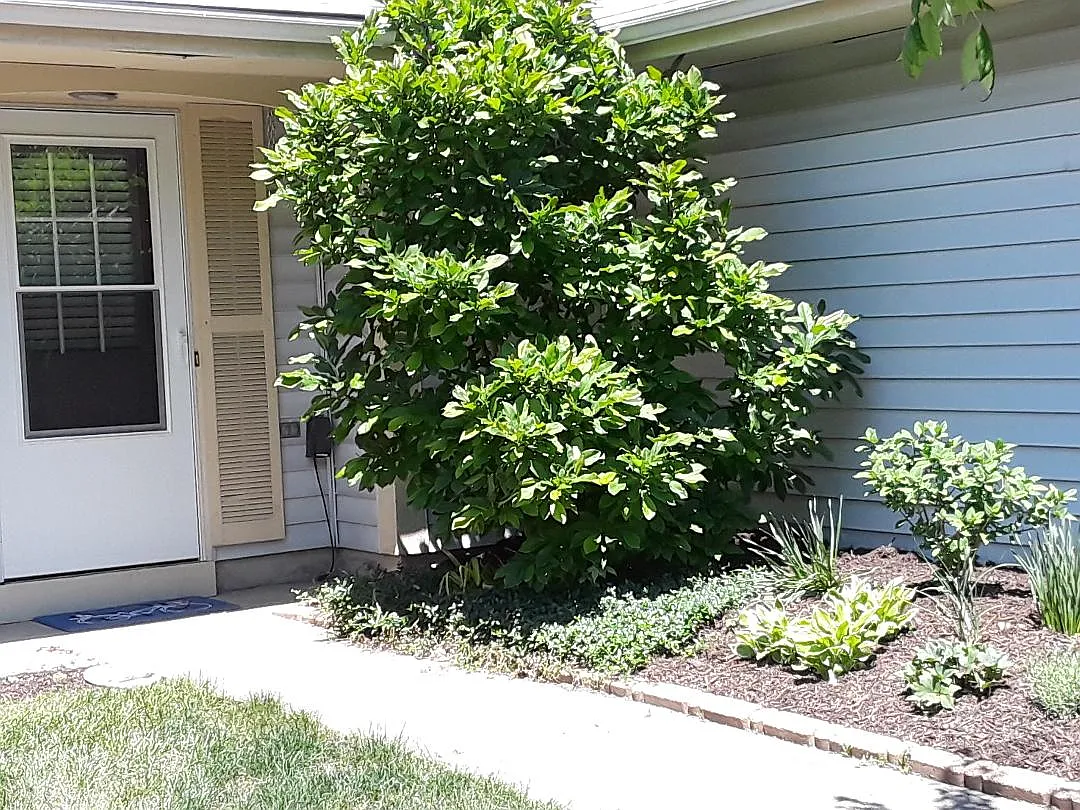 2 bed, 1.5 bath, 1200 sqft, $1,750 — Photo 2