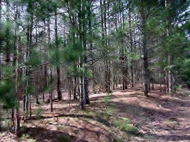 2nd image of S Bay Rd Lot 9
