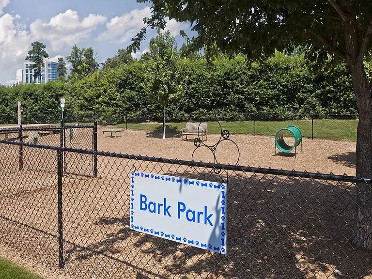 Camden Ballantyne — Photo 24