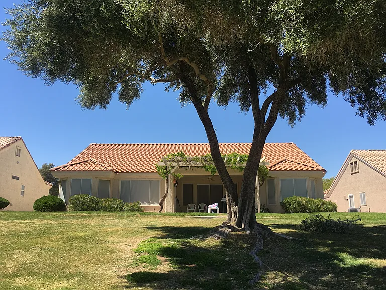 3032 Hidden Treasure Dr — Photo 49
