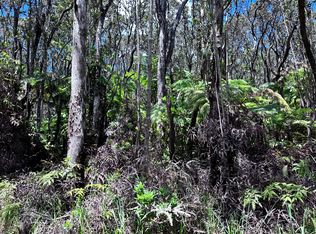 Road 3 Hopue LOT 3193, Kurtistown, HI 96760