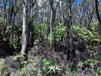 Road 3 Hopue Lot 3193, Kurtistown, HI, 96760
