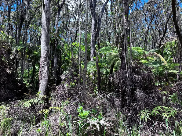 Road 3 Hopue Lot 3193, Kurtistown, HI 96760