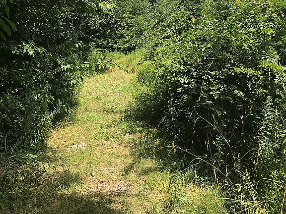 Beguiling main trail