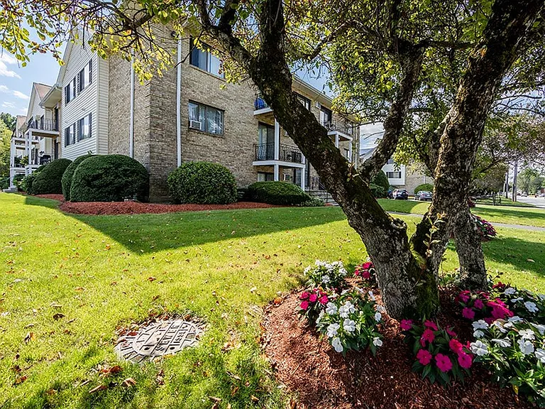 Professionally landscaped