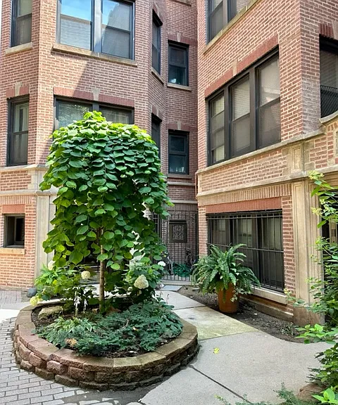 777 W Diversey Pkwy #3NE — Photo 11
