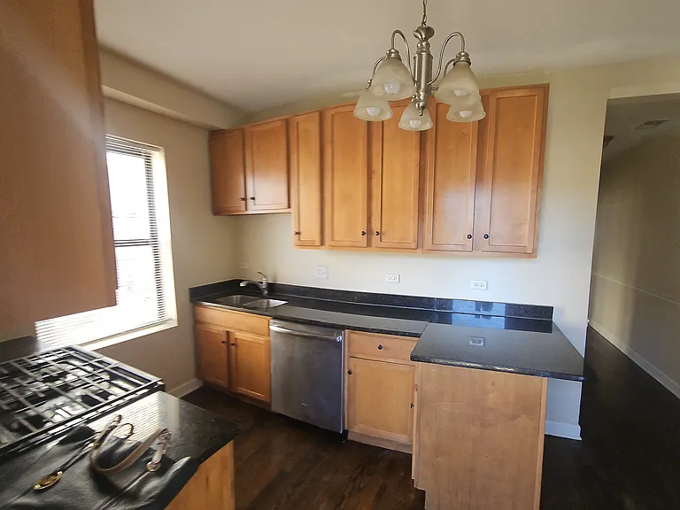 2245 W Rosemont Ave #1N — Photo 11