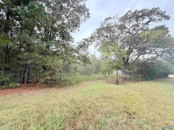 336 Hopper Rd, Eva, AL 35621