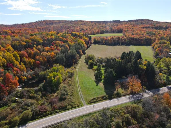0 Route 242 Lot 27, Little Valley, NY 14755