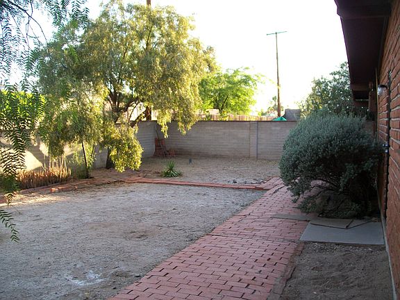 Back yard facing south west