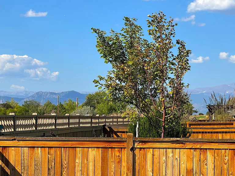 Mountain views from Backyard and patio