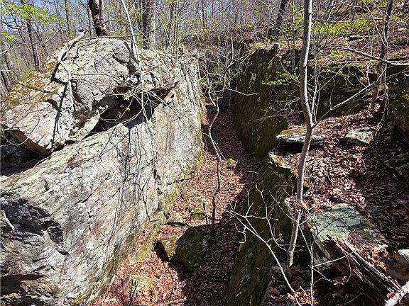 3rd image of Mountain Springs Rd #1