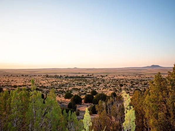 348 Springer Hwy, Clayton, NM 88415