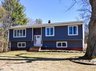 42 Mountain View Ave, Long Valley, NJ 07853