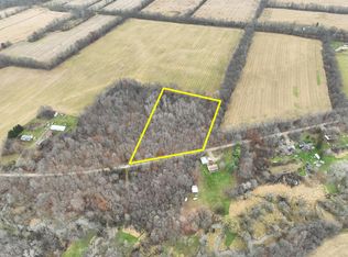 4.53-V/L Lyons Rd, Lyons, MI 48851