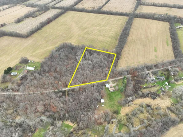 4.53-V/L Lyons Rd, Lyons, MI 48851