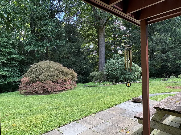 Property Backs to Trees