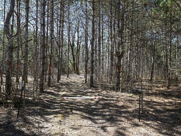 E1495 WOLF RIVER ROAD #Parcel Number 072224, Iola, WI 54945