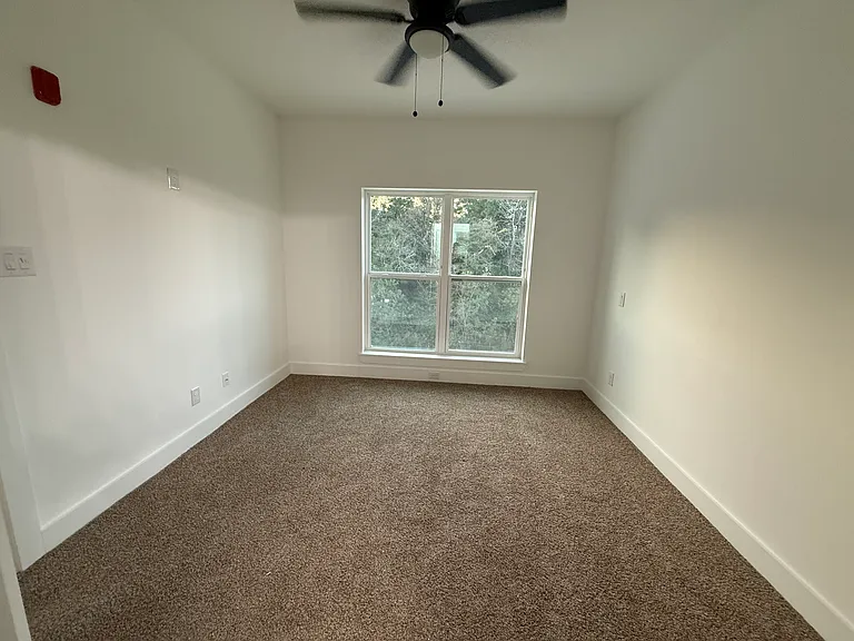 Pin Oak — Photo 15