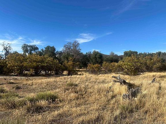 5th image of 30006 Chihuahua Valley